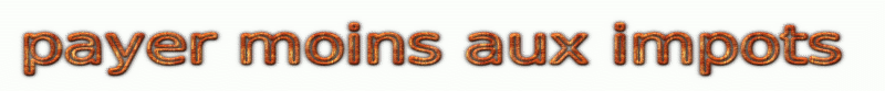 http://payermoinsauximpots.free.fr